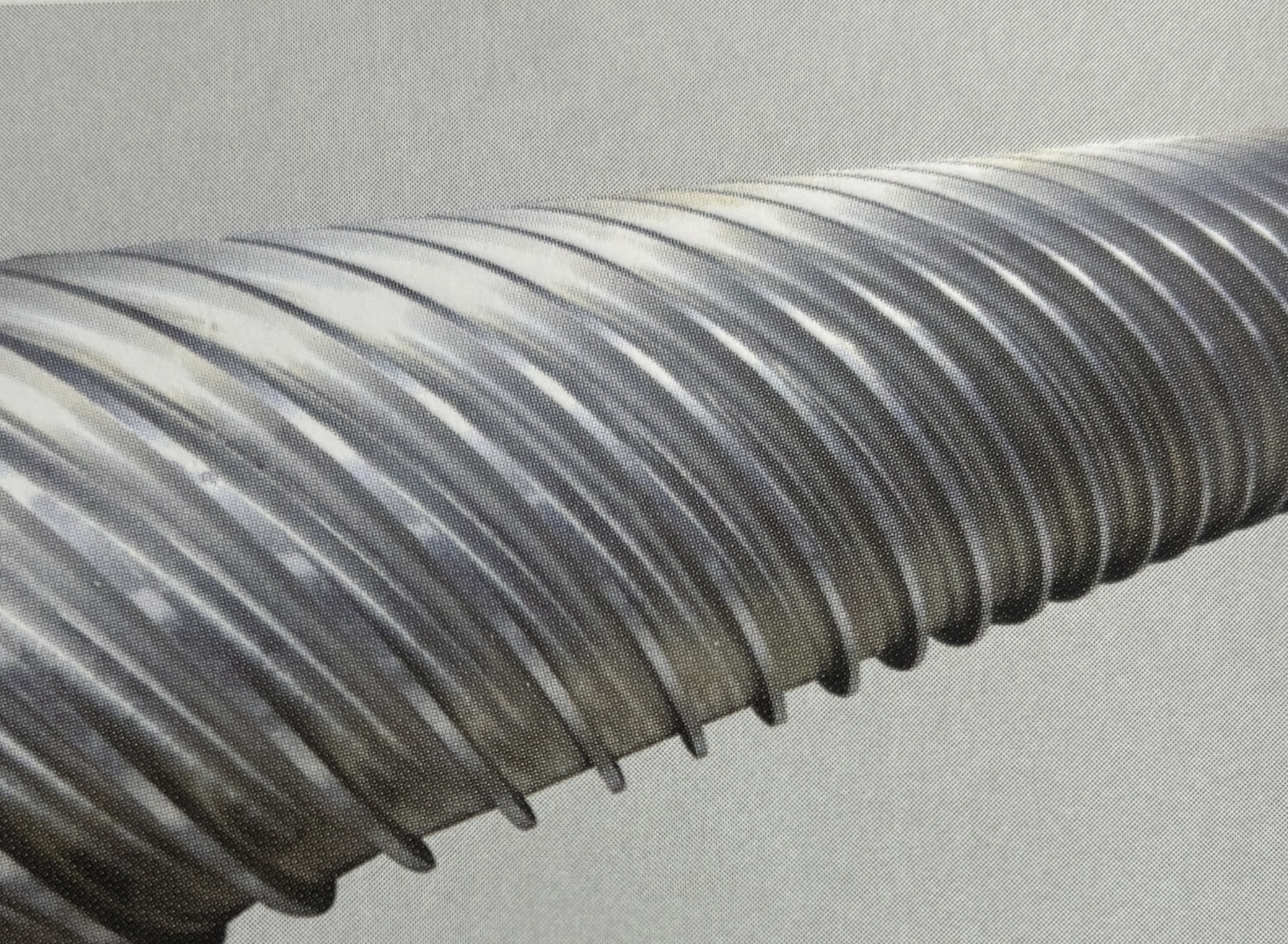 Rolo eficiente para paredes finas